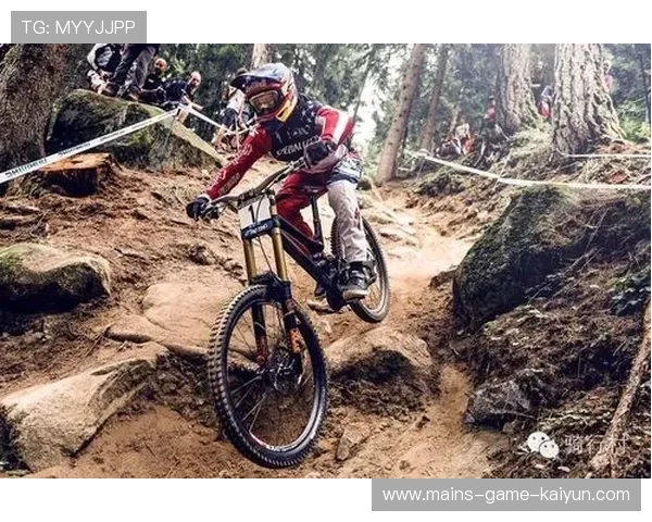 红牛年度总结：胜率突破80%