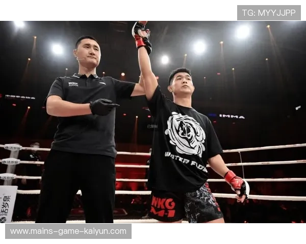 综合格斗赛事再出血案：官方紧急叫停比赛