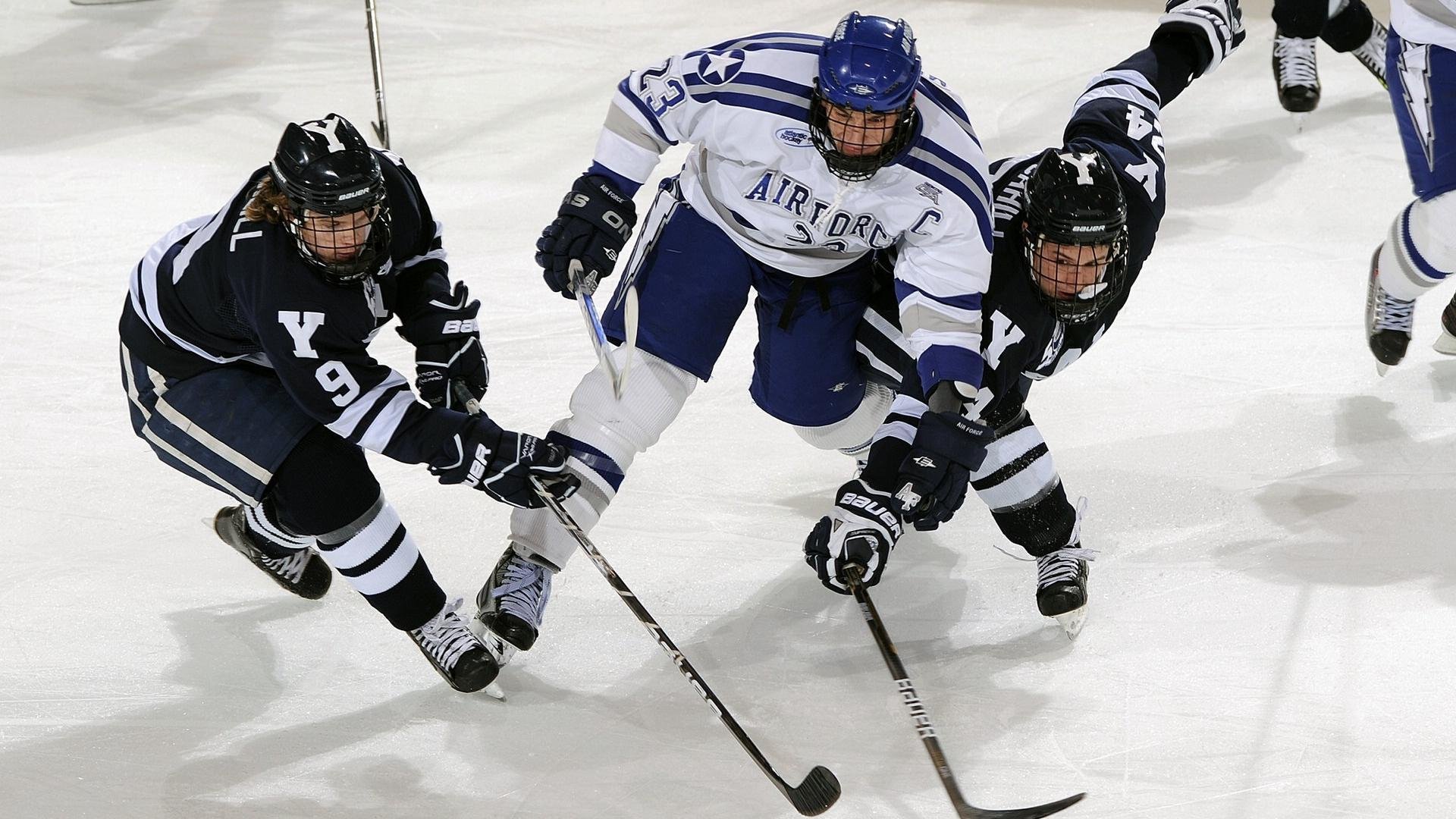 体育世界最新动态